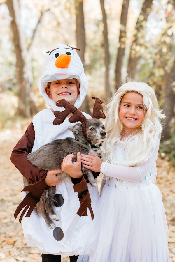 frozen halloween costumes for women